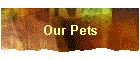 Our Pets